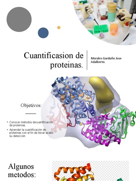 Esquema de las técnicas de cuantificación de polifenoles y actividad ORAC