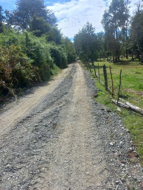 Imagen de Paillaco