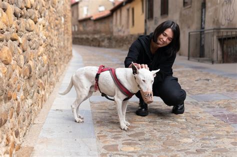 Foto de una persona acariciando a un Bull Terrier anciano