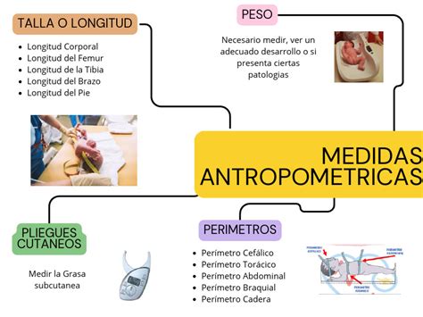 Esquema de las mediciones antropométricas en ancianos