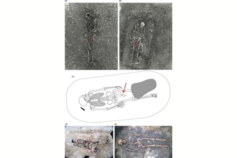 Esquemas de posibles enterramientos conjuntos de madre e hijo en tumbas vikingas