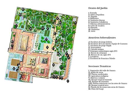 Esquema de un jardín etnobotánico con diferentes secciones temáticas