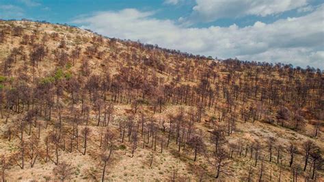 Fotografía aérea del hogar de ancianos El Bosque después del incendio, mostrando los daños estructurales