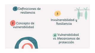 Esquema conceptual: Comparación de enfoques de vulnerabilidad, resiliencia y bienestar objetivo.