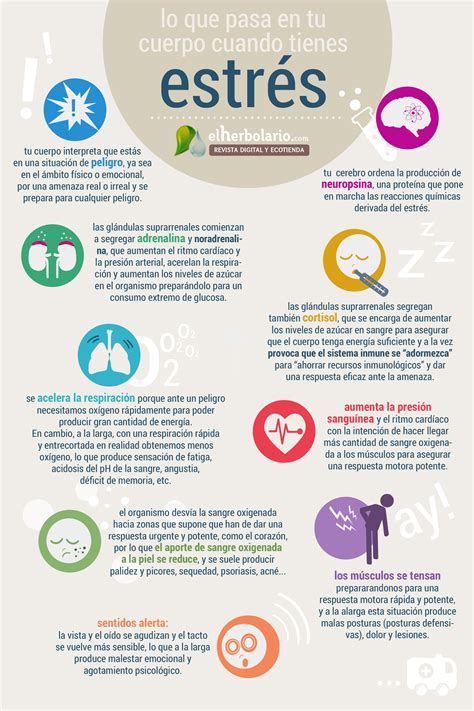 Infografía sobre los síntomas del estrés y la sobrecarga en cuidadores