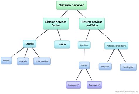 Esquema de la estructura del sistema de protección de menores en Chile