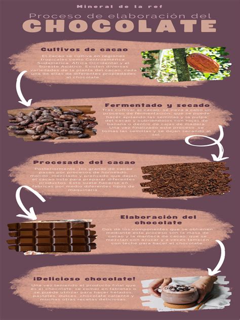 Infografía del proceso de co-creación y el número de participantes