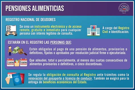 Infografía sobre el Registro de Deudores de Pensiones de Alimentos y sus sanciones