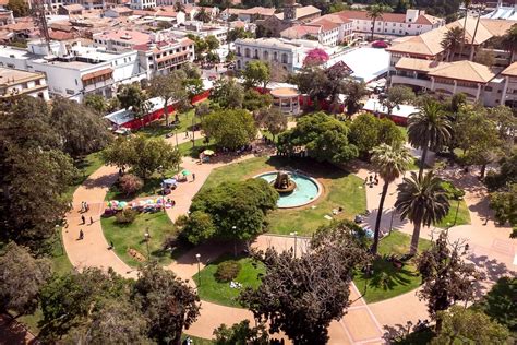 Esquema de la Plaza Balmaceda en La Serena o foto de puesto de venta de plantas