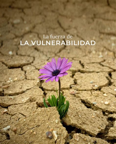 Infografía: La vulnerabilidad como camino hacia la fortaleza, el coraje y la conexión