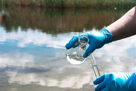 Infografía: Comparativa de la calidad y regulación del agua del grifo vs. embotellada en Canadá