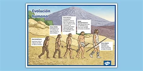 Representación de la evolución del concepto de 