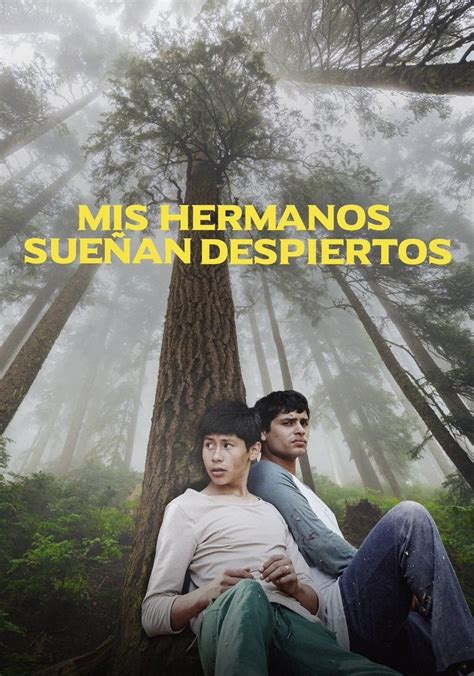 Afiche o escena de la película 