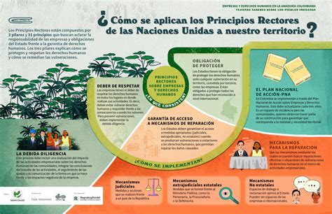 Infografía que muestra la estructura y los principios rectores del Nuevo Servicio Nacional de Protección Especializada a la Niñez y Adolescencia.