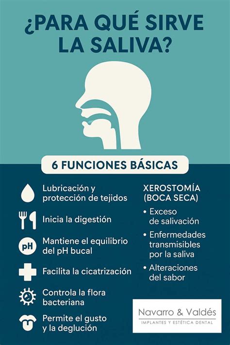 infografía sobre las funciones de la saliva en la boca