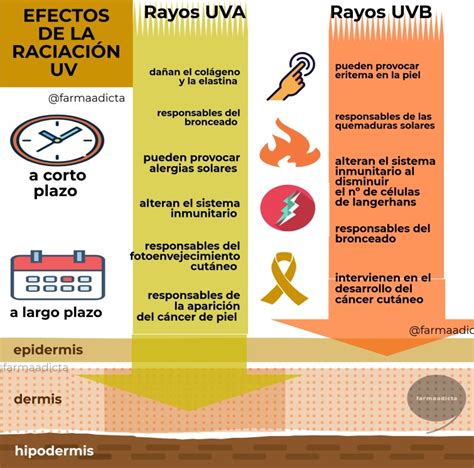 Infografía sobre los efectos de la exposición solar en la piel.