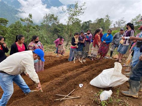Personas trabajando en comunidad para reforzar una estructura