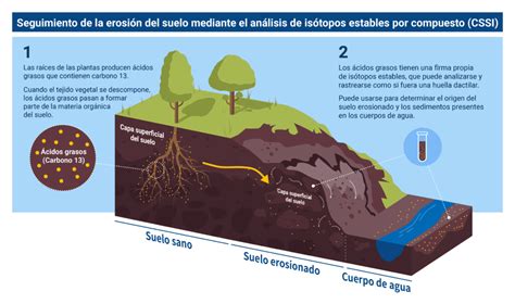 Esquema de las interacciones entre vegetación, suelo y erosión