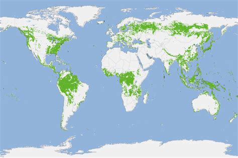Mapa de distribución mundial de bosques esclerófilos o clima mediterráneo