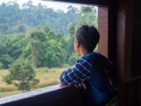 Foto temática de un joven en silueta o de un niño mirando por una ventana, simbolizando vulnerabilidad y encierro