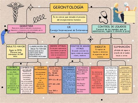 Esquema de las áreas de estudio de la gerontología social