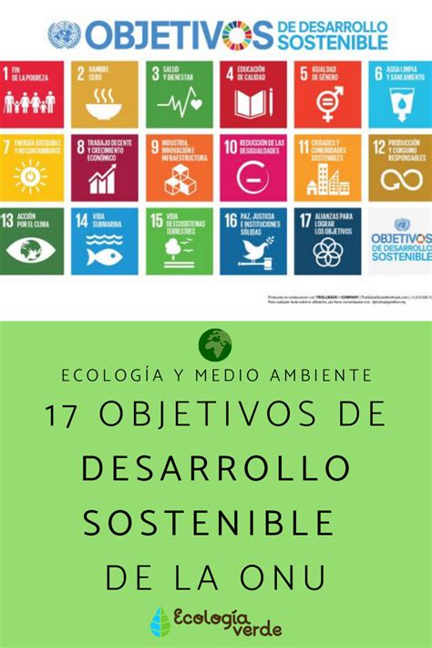 infografía de los 17 Objetivos de Desarrollo Sostenible de la ONU
