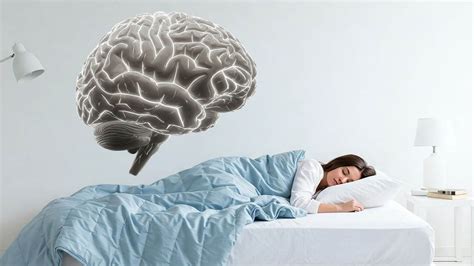Esquema del cerebro procesando información durante el sueño
