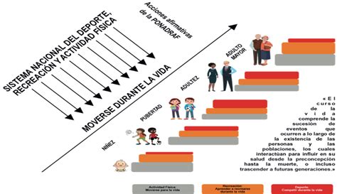 Diagrama que ilustra el concepto de curso de vida y sus interrelaciones.