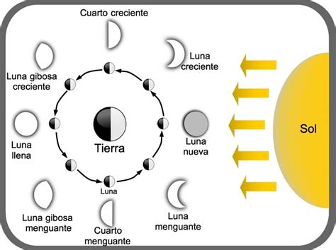 Esquema de las fases lunares y su relación con los arquetipos femeninos