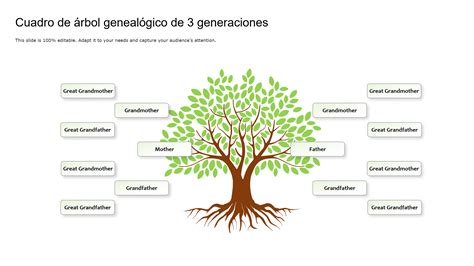Árbol genealógico femenino con énfasis en las tres generaciones