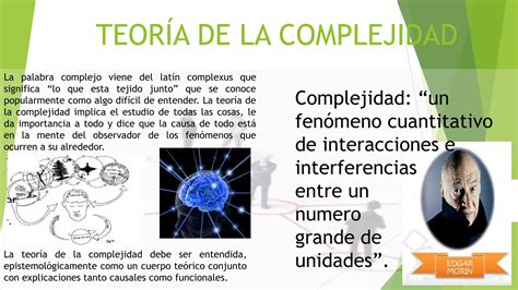 Representación de la complejidad de la zoofilia y sus múltiples aristas: ética, legalidad, bienestar animal y psicología