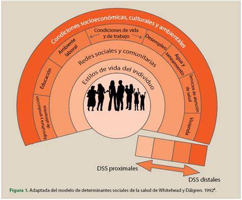 Diagrama de Determinantes Sociales de la Salud (DSS) y su relación con políticas públicas