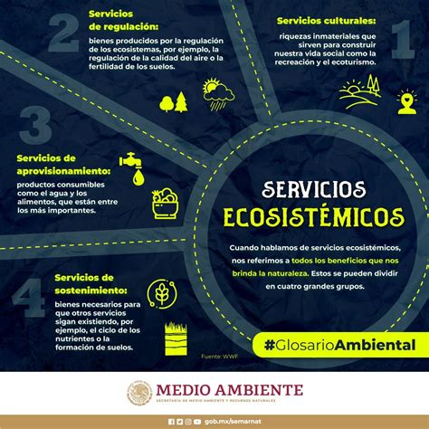 Infografía sobre los tipos de servicios ecosistémicos