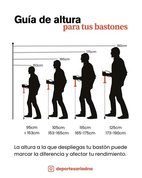 Infografía sobre cómo medir la altura correcta de un bastón