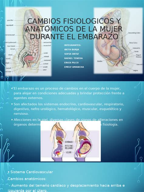 esquema médico descriptivo de los cambios fisiológicos positivos y manejables en el sistema reproductivo femenino durante la vejez