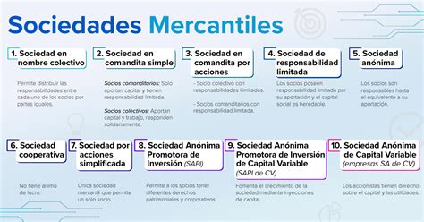 esquema de tipos de aportaciones a sociedades