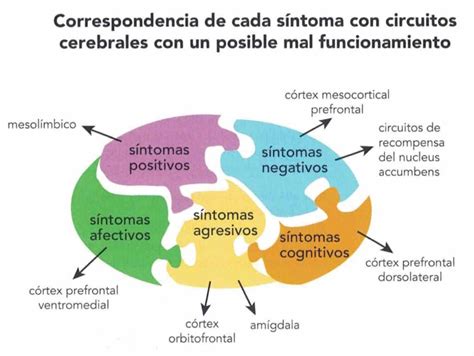 Esquema de los principales síntomas de la esquizofrenia (psicóticos, negativos y cognitivos)