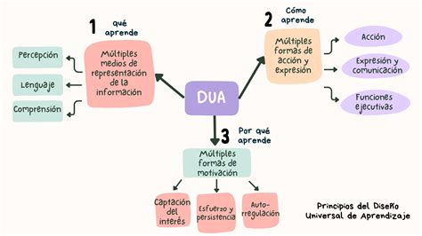 Diagrama que ilustra los tres principios del Diseño Universal para el Aprendizaje (DUA): Múltiples medios de representación, múltiples medios de acción y expresión, y múltiples medios de implicación.
