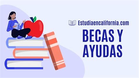 infografía sobre los tipos de becas y apoyos disponibles para estudiantes con discapacidad en educación superior