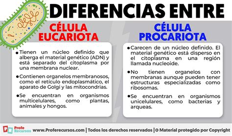 Esquema de las diferencias entre PBSI y APSI