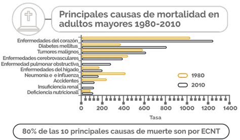 Gráfico de barras: Causas principales de mortalidad en adultos mayores en Chile (2023)