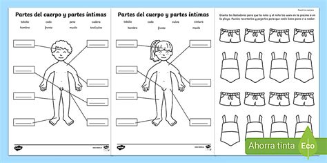 Esquema de las partes del cuerpo y posibles afectaciones de la discapacidad física