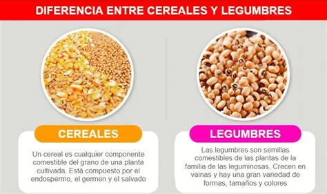 Crema instantánea a base de cereales y legumbres, fortificada con vitaminas
