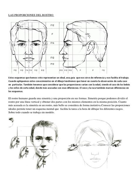 Infografía: Proporciones básicas de un retrato y zonas de sombra en envejecimiento