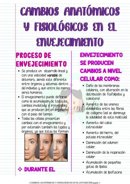 Esquema de cambios anatómicos en el pie envejecido