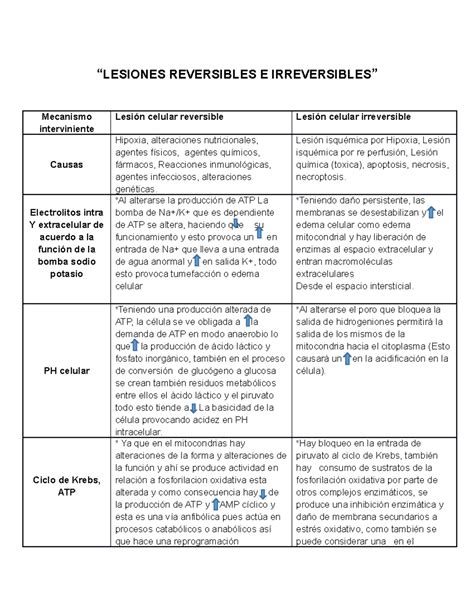 Cuadro comparativo: Causas reversibles e irreversibles de la pérdida de memoria
