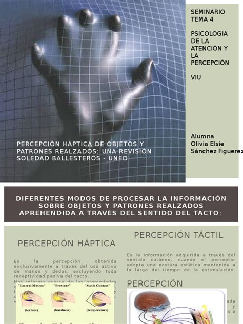 Ilustración de la mano explorando un objeto texturizado, representando la percepción háptica