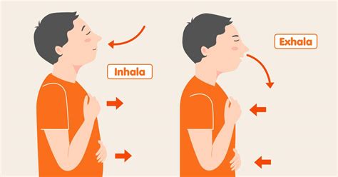 diagrama que muestra la técnica de respiración profunda con movimiento de brazos y la técnica de respiración con botella y popote