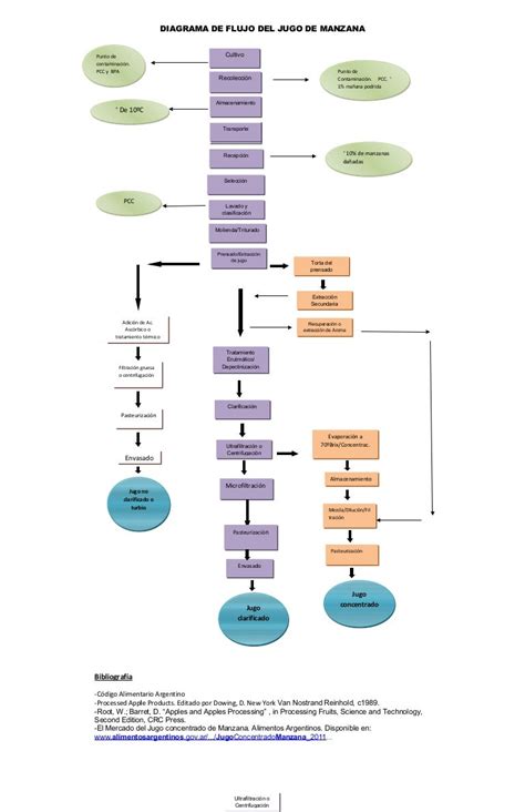 Diagrama de flujo: Proceso judicial de pensión de alimentos