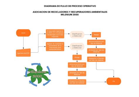 Esquema o infografía del proceso de clasificación de atletas paralímpicos